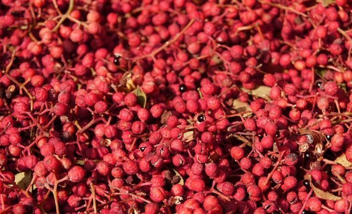 女人月经量少老得快,多吃这几物,滋养卵巢,调节月经更年轻