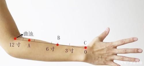 艾条灸|手三里,是不是感觉有点耳熟,和足三里很像,今天来讲讲手三里!