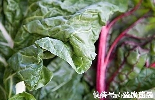 牛皮菜|过去以难吃出名的野草，后来被用来喂猪，现在又成了天然蔬菜！