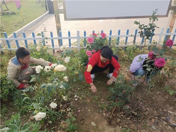 周评|乌岭小学以少先队为阵地，扎实落实劳动教育