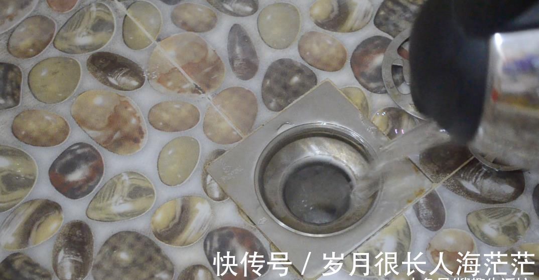 下水道里倒一碗它, 卫生间1年都不会滋生小飞虫, 简直太实用了