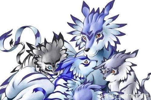 哈士奇|数码宝贝这位数码兽有点坏,竟拿走加鲁鲁兽的皮毛做防具!