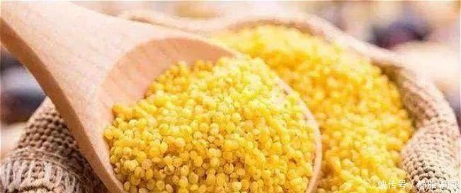 今天才知道,小米粥不能随便乱喝,为了健康,牢记3点,别再犯错