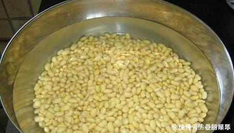 想吃豆腐不用买,教你一把黄豆自己在家做,不用卤水不用石膏