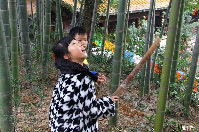 新年|新年新气象，祈福洪山寺