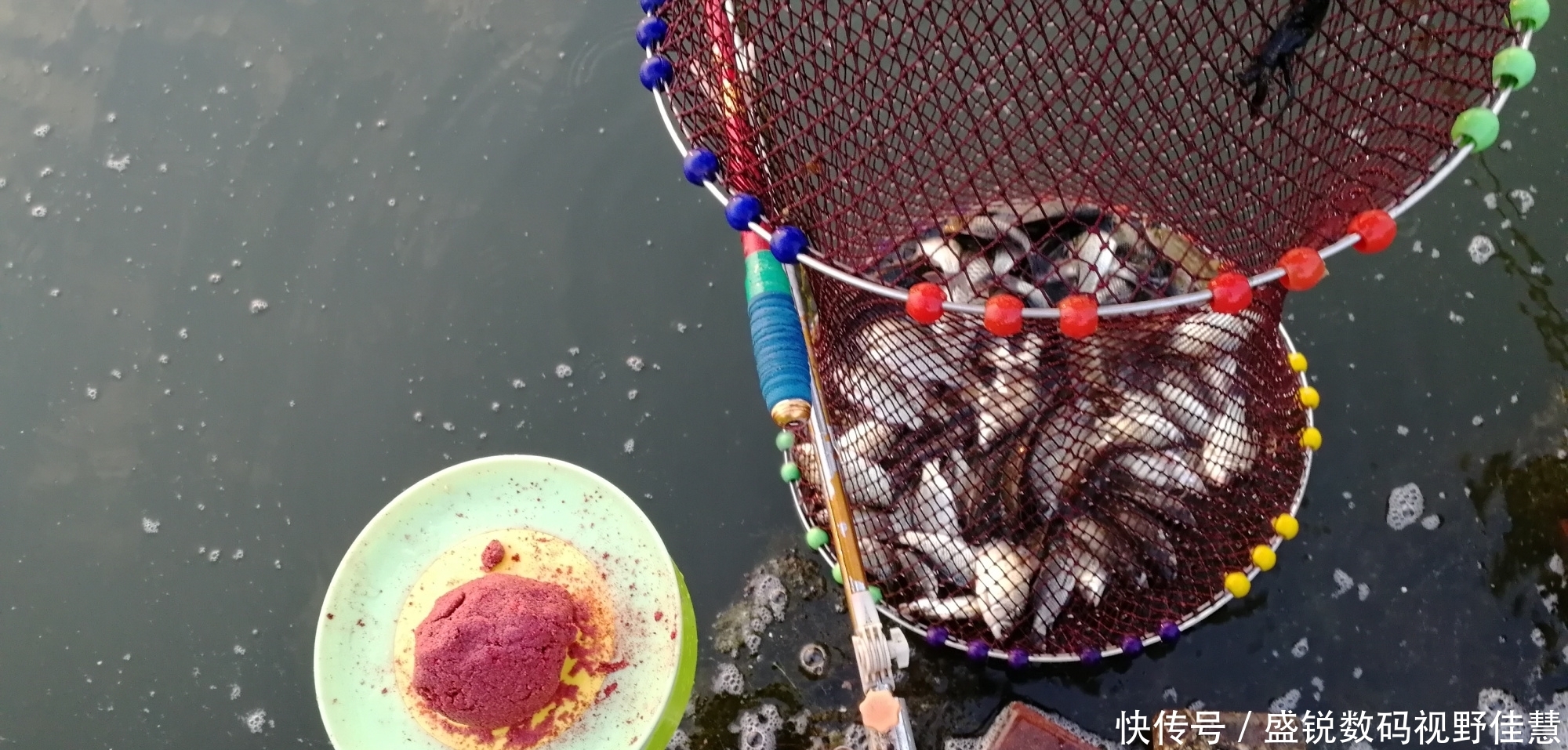 新手钓鱼一定要养成的好习惯，对你的渔获大有帮助！