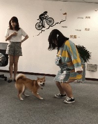 |搞笑GIF趣图:当你有一包泡面,但没有碗的时候,你会怎么做?