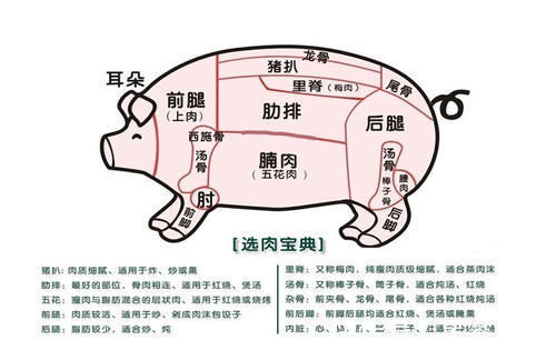 肋排|买排骨,要分清“小排”和“大排”,差距还挺大,看完不会再买错