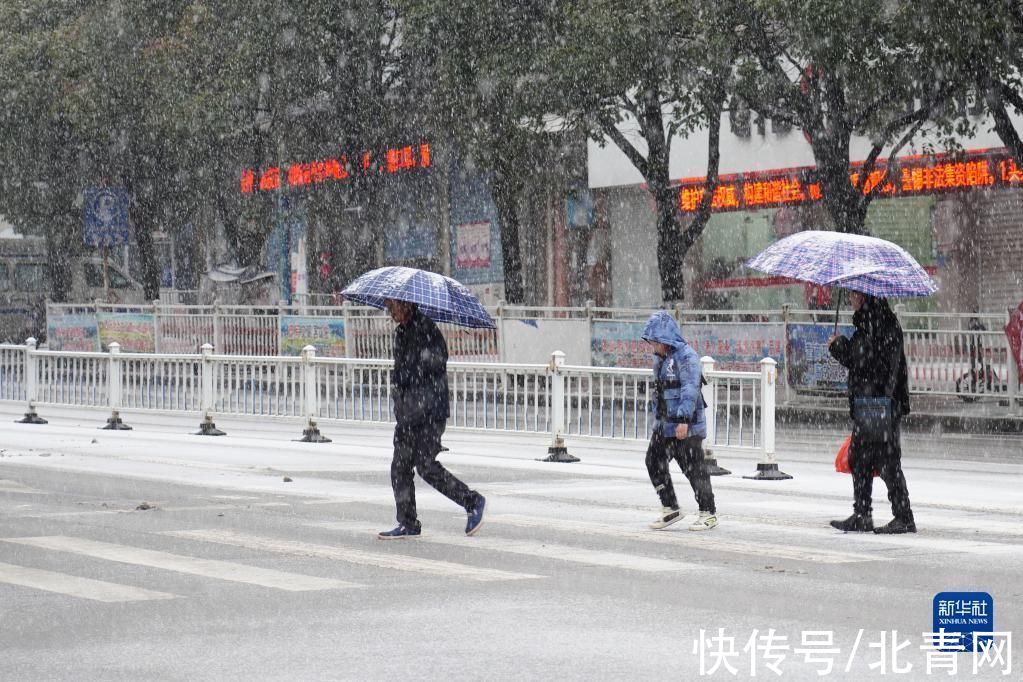 秭归县|全国多地迎降雪