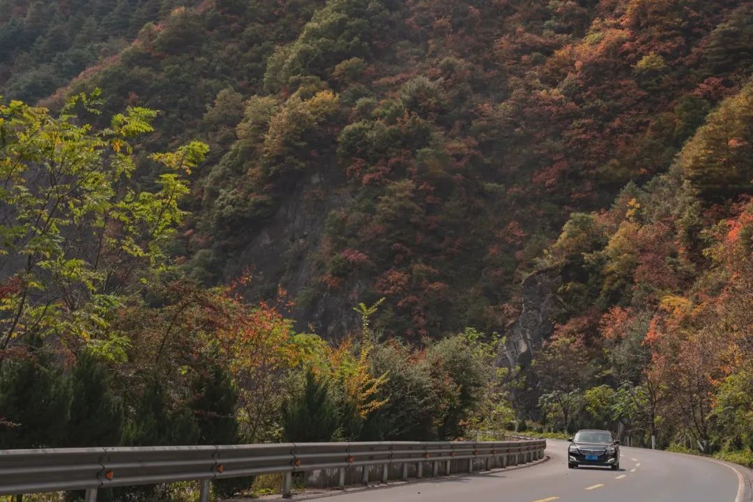 秦岭秘境新发现——留坝许家山，藏在陕南的关中古村