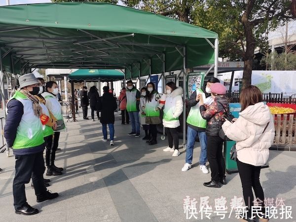 上海植物园|“免大门票后，感觉植物园更美了！”上海植物园元旦上午迎客7200人