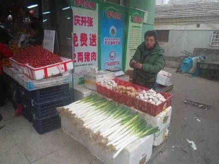 马未都：葱——菜市场小记之一
