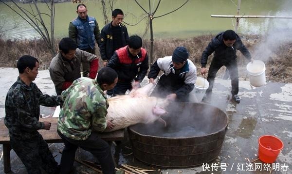 国姓|明朝的国姓是“朱”，民间百姓想吃猪肉怎么办？朱元璋只改了一字