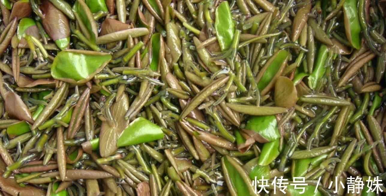 胶原蛋白|这菜胶原蛋白丰富，比燕窝养人，用来凉拌，瘦身刮油快