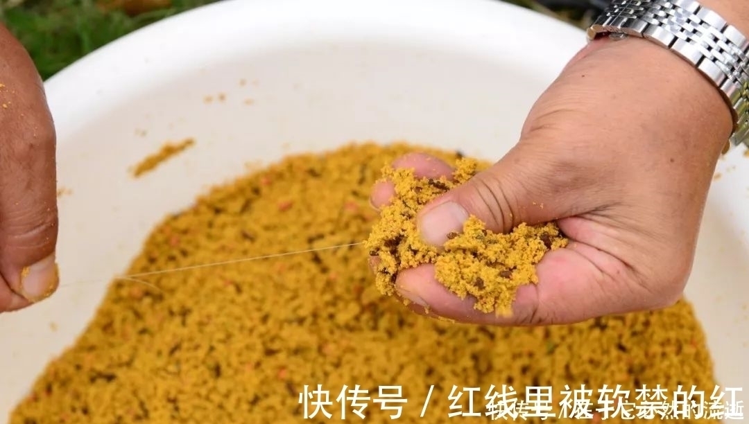 这些都是鲫鱼爱吃的食物,用来钓鲫鱼,一钓一个准