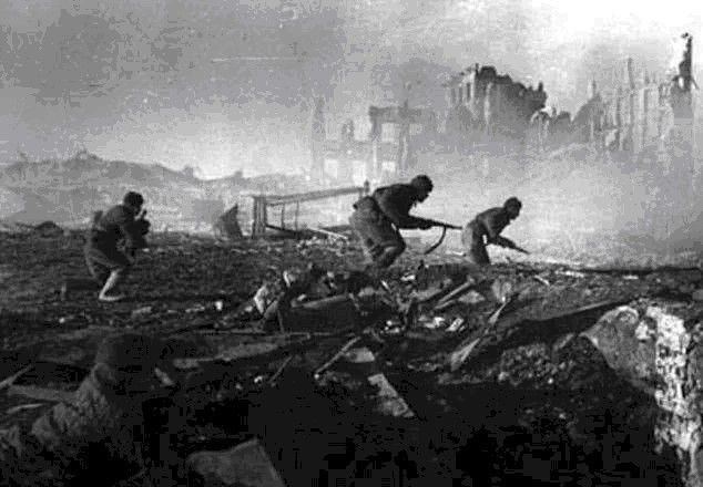 德国|德军二战的100万“动物部队”,没它们可能早就输了