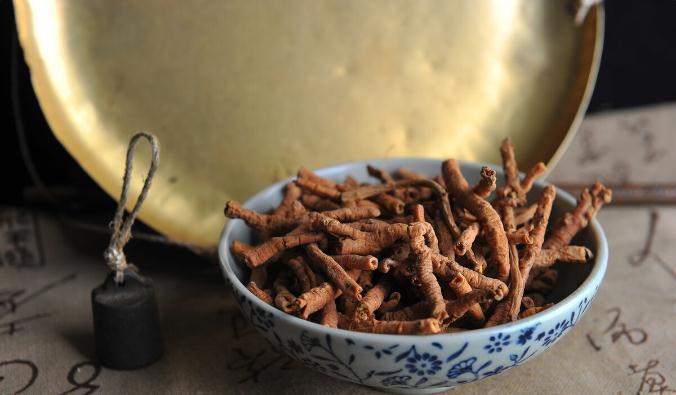 肉苁蓉|地黄饮子,阴阳双补,交通心肾,增强你的免疫力,不来了解下吗