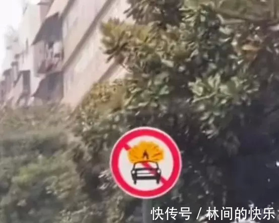 |今日段子:我给北方的朋友普及一下,这是我们南方的跨界请客!