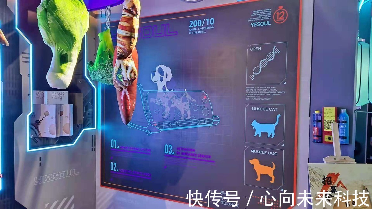 天机阁|淘宝造物之城探险对抗虽败犹荣，明年再战！
