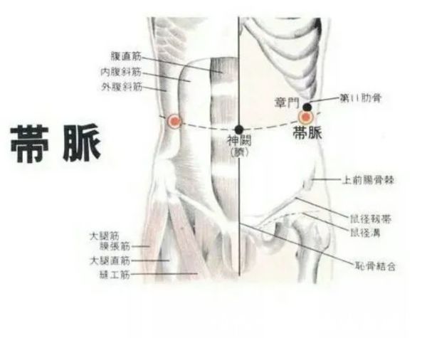体式|腰腹易囤肉?多是经络不畅,每天这么躺1分钟,久坐也不长肉!