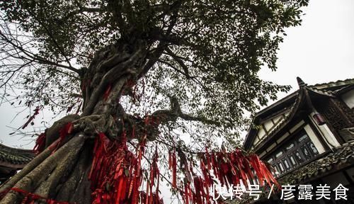 珍珠豆花|十大水乡古镇之一，距今已有1700年历史，被称为是“中国好莱坞”