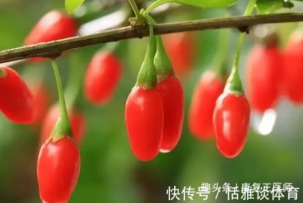 泡水|枸杞到底生吃好，还是泡水喝好？很多人都搞错了，不妨来了解下