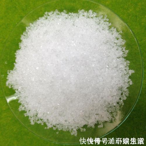 花卉|文竹黄叶不要慌,这“3种”物品,兑水浇盆里,黄叶全不见!