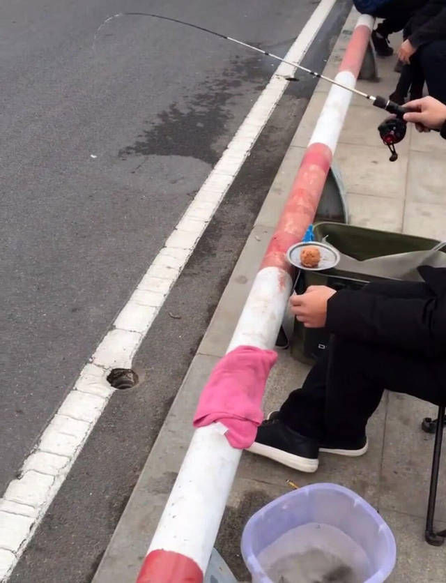 城里的钓鱼人有多疯狂,桥上排水孔里钓鱼,最多一天钓5斤