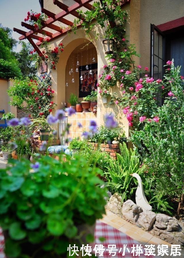 这6种花,记住晚上冻,白天晒,开花特别快!