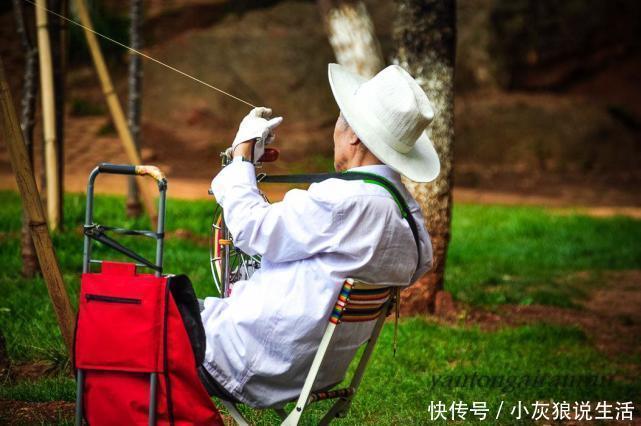 很火的老年人大脑测试,害怕自己得老年痴呆的来试试,很准