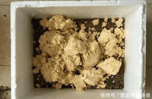 养花人的奋斗目标:该怎么实现养花省钱环保?从巧用它们开始