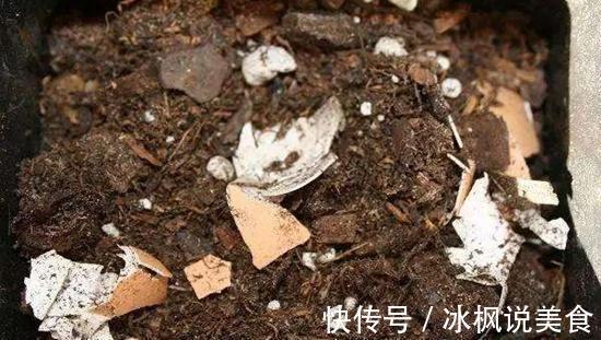此3种“壳”,大家不要乱扔,拿来养花效果好,简单、实用!