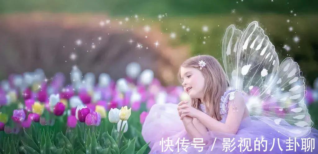 呵护|“生命教育”是父母给孩子的礼物,呵护孩子“感知生命”的天赋!