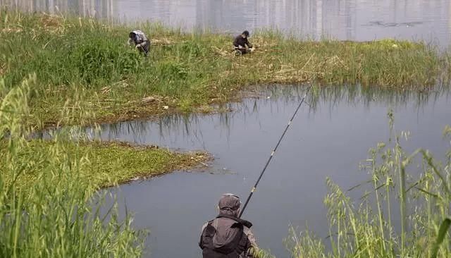 不宜|冬钓时,这三个位置不宜考虑,莫不信,老司机们都晓得,不学亏了