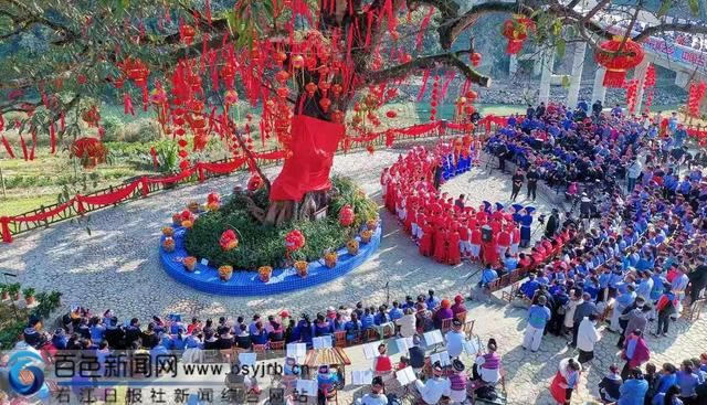 央视“小春晚”特别节目播出反响强烈