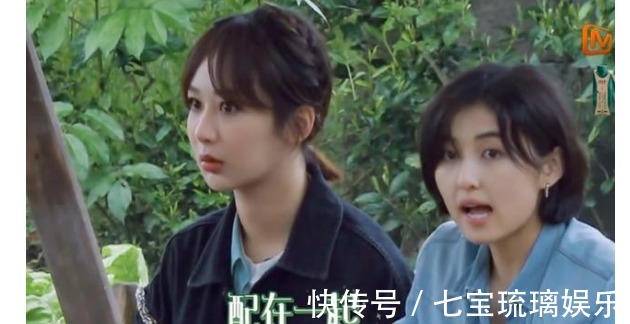 辟謠|楊紫,求你可別再上《向往的生活》了