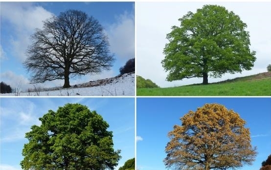 南半球 季节小课堂:关于季节的2个小问题