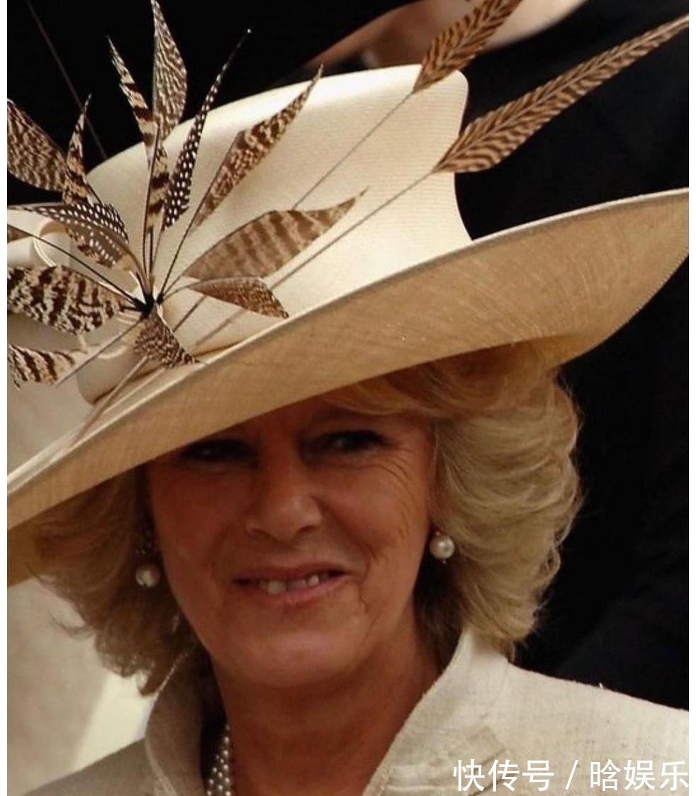 戴安娜王妃 戴对胸针的卡米拉好美,一枚简约的祖母绿胸针,映衬的她优雅大气