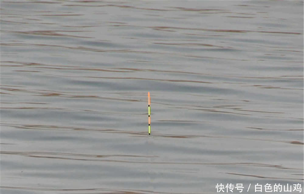 差值|调目与钓目之间有什么关系?弄懂了这些要点,调漂新手变老手!