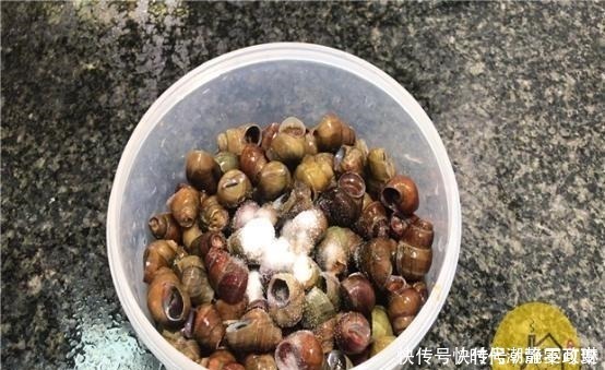 螺丝|才发现,菜刀上圆孔有个厉害用法,现在知道还不晚,太多人收藏了