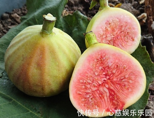 胎毒|在有孕阶段,有5种食物孕妈常吃可以清除体内毒素,有益宝宝发育