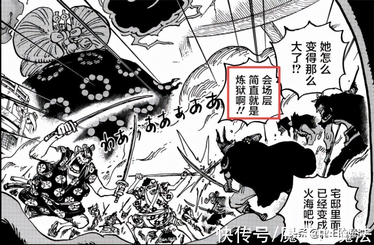 四皇|海賊王1031話分析：索隆占C位有含義，基德與羅威脅四皇體系