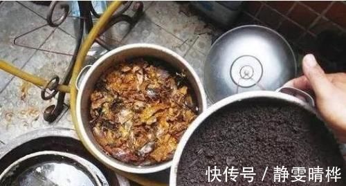 开花|花长得不好盆里放根香蕉，叶子肥厚、疯狂开花，连肥都不用施