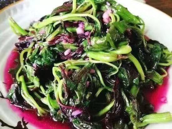 冷知识|牛奶比水更补水、有些蔬菜自带盐分,关于食物的冷知识你知道几个