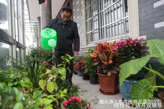 养花六要素，养花入门必备知识点