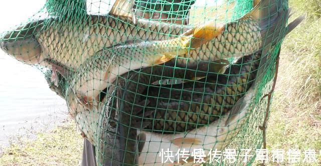 野钓通杀调漂方法分享,适应绝大多数钓况,两分钟搞定