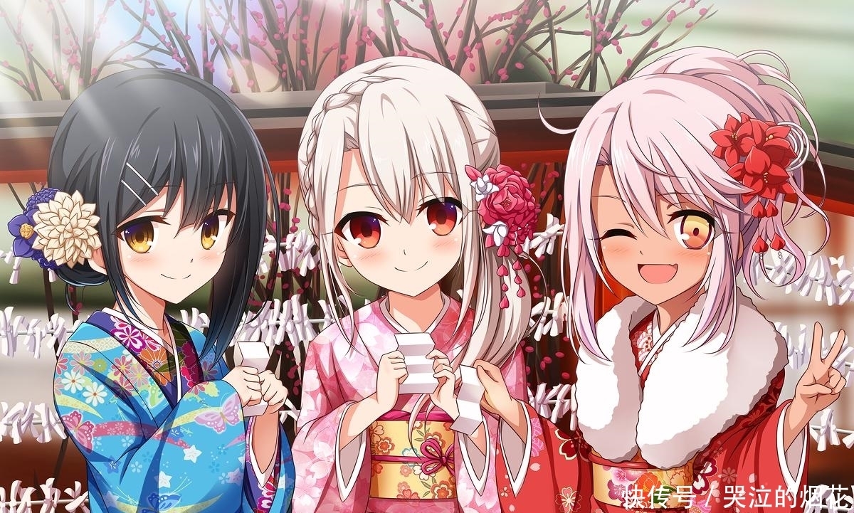 卫宫士郎|看了半天才发现,原来魔法少女伊莉雅,是fate的第一部后宫番