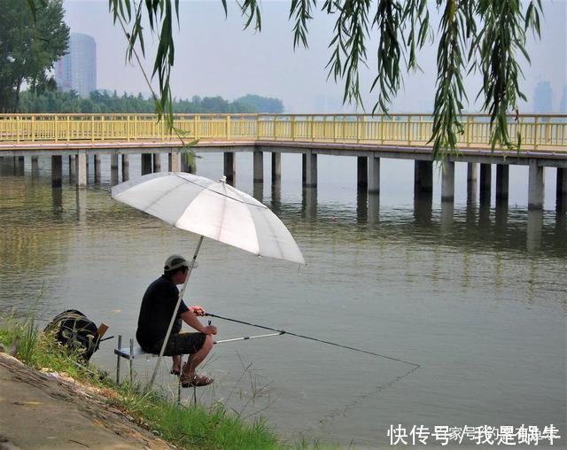 夏天钓鱼找钓点,在这几个地方作钓,别说是钓鱼,就是虾也钓不到