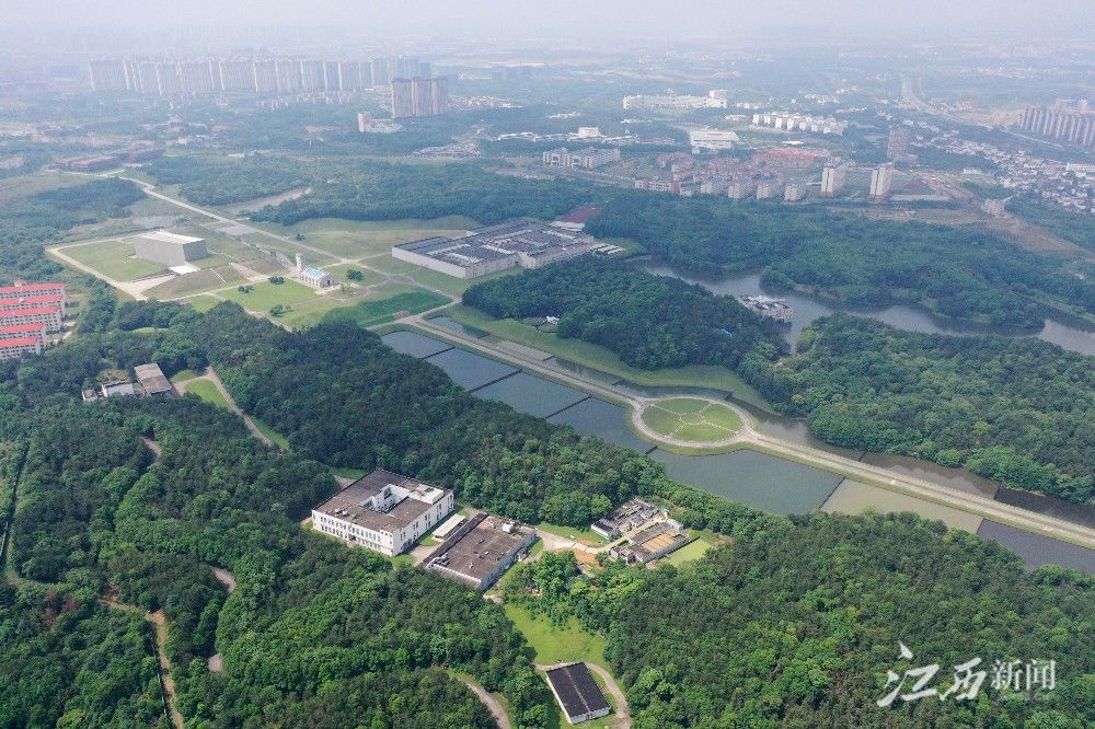 强省|江西日报整版关注中医药强省建设：“望闻问切”江西中医药