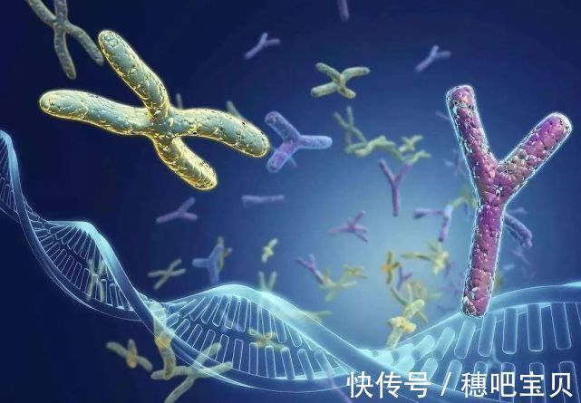 晚长|天使课堂:如何鉴别是晚长还是真矮,主要看这些特征